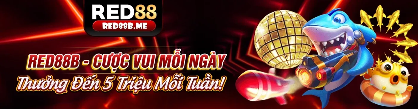 Hình ảnh đại diện Điều Khoản Dịch Vụ dola777 link mới